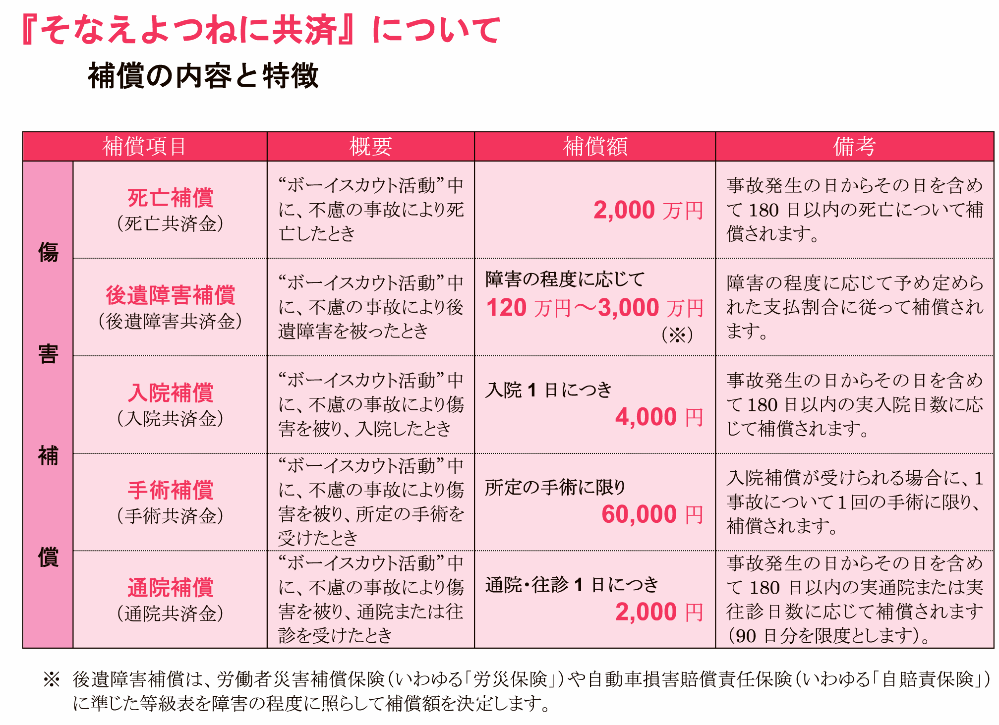 ボーイスカウト日本連盟 そなえよつねに共済 概要 ボーイスカウト日本連盟 加盟員向け情報